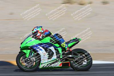 media/Feb-04-2024-SoCal Trackdays (Sun) [[91d6515b1d]]/4-Bowl Backside (11am)/